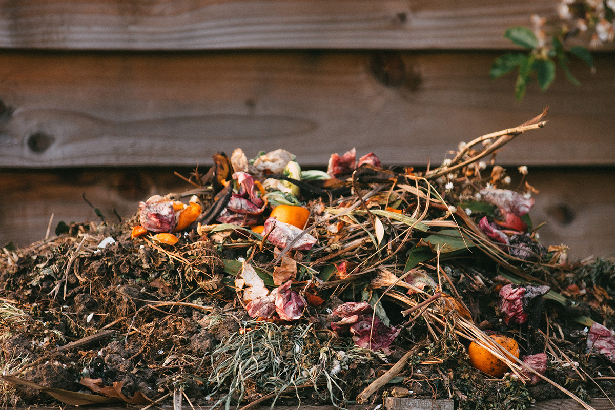 A pile of food and yard compost