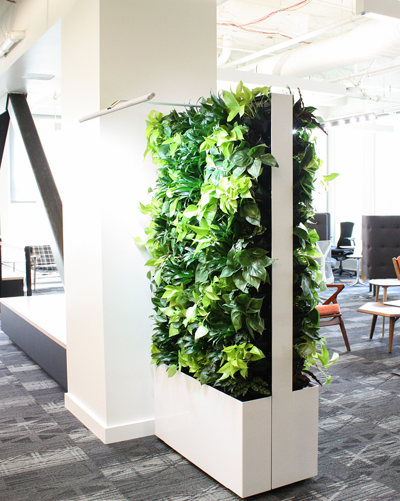 Biophilic Divider