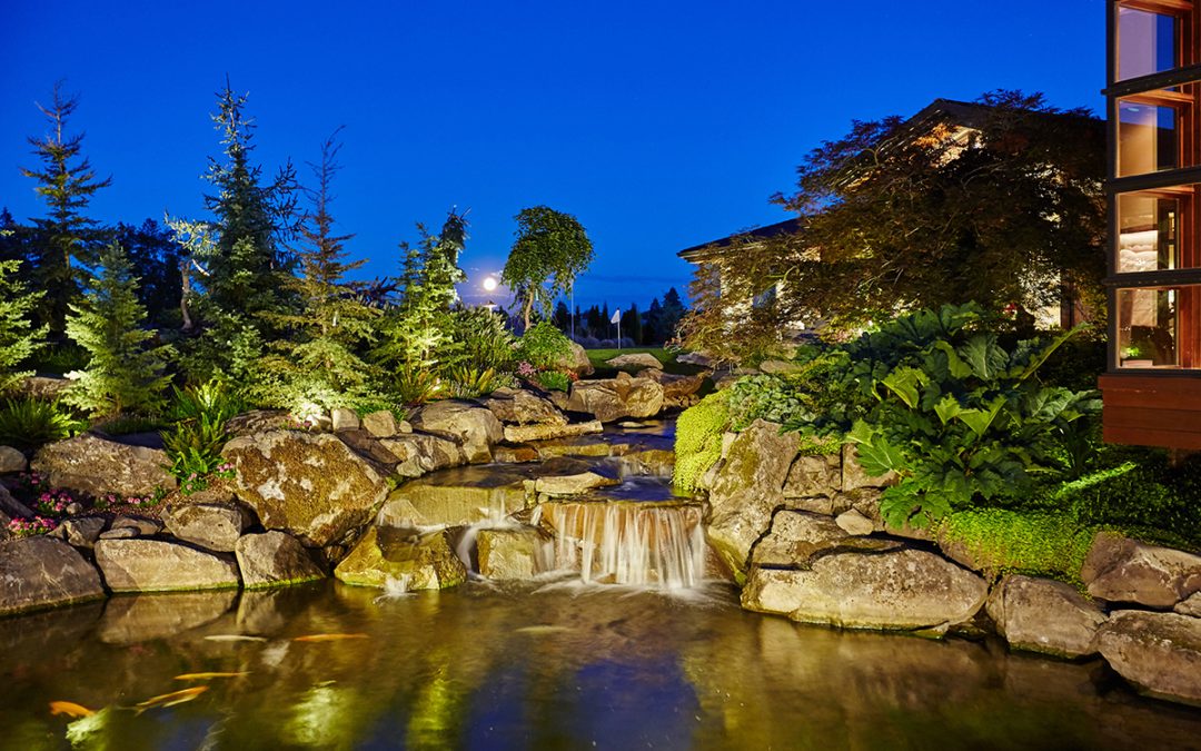 koi pond and waterfall at night in landscape
