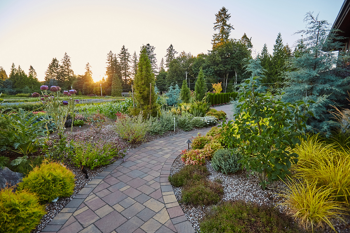 Dennis7Dees-Dream-Home_121 landscape plants along path