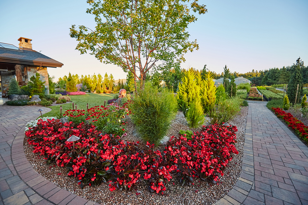 Dennis7Dees-Dream-Home_123 landscape plants