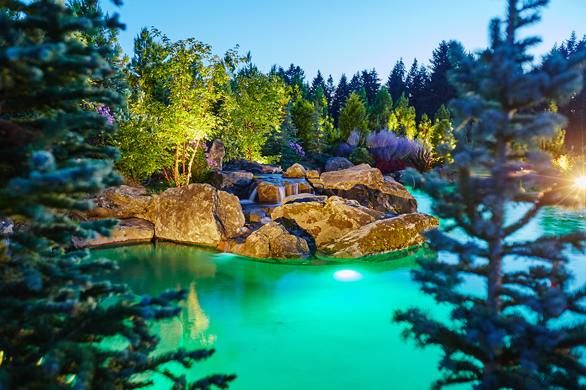 Dennis7Dees-Dream-Home_258 natural pool in residential landscape