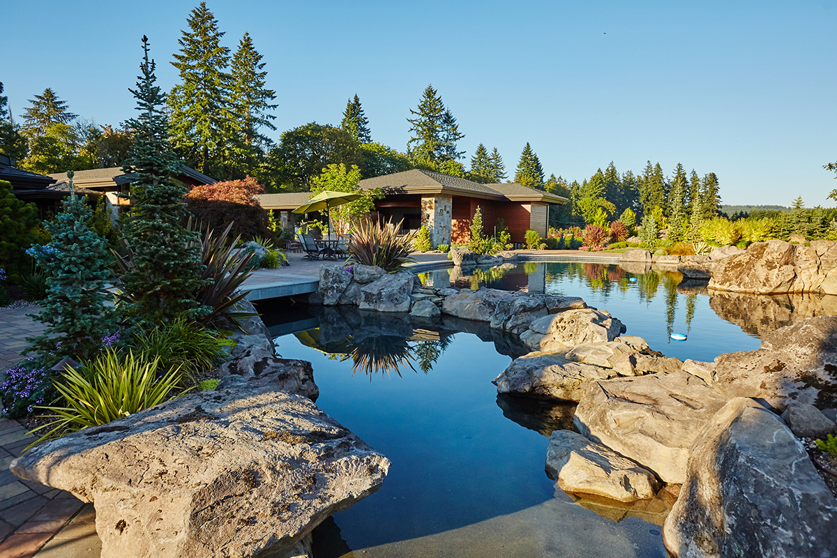 Dennis7Dees-Dream-Home_48 natural pool in residential landscape