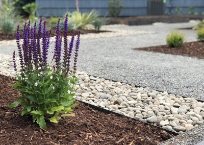 mulch stone gravel walkway with plants
