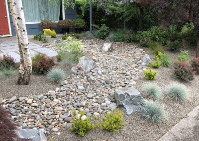dry creek bed and drought tolerant plants