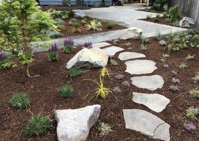stone pathway and plantings