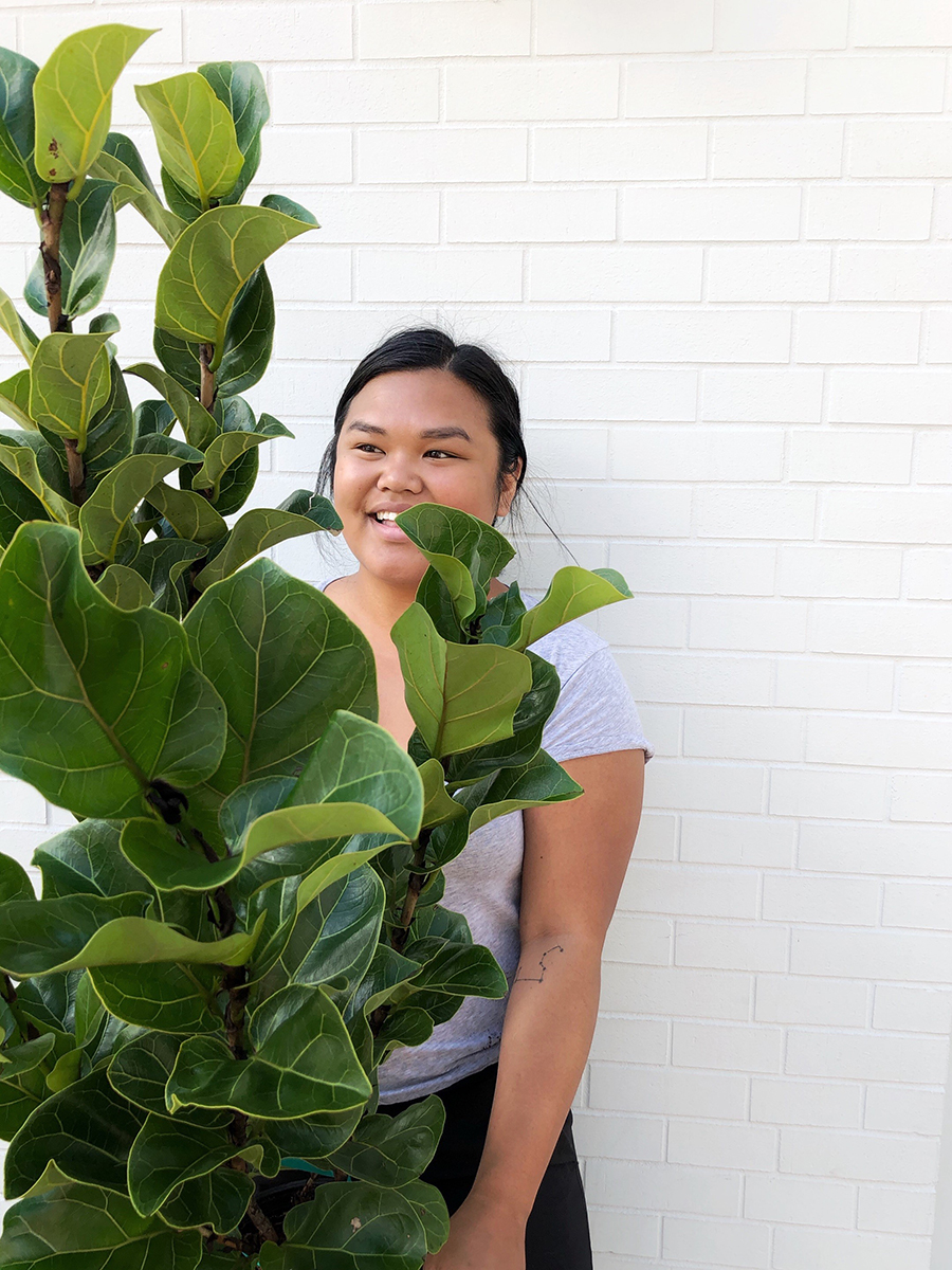 Kalei-with-ficus-lyrata holding ficus lyrata