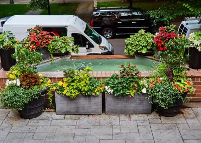 Urban Plantscapes Exterior Container Plants