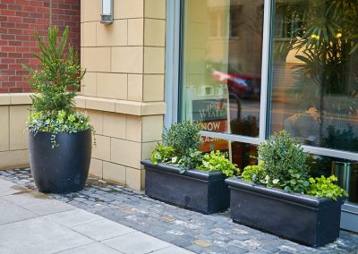 Urban Plantscapes Exterior Container Plants