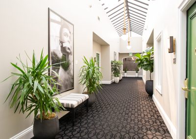 Urban Plantscapes Hospitality Plants