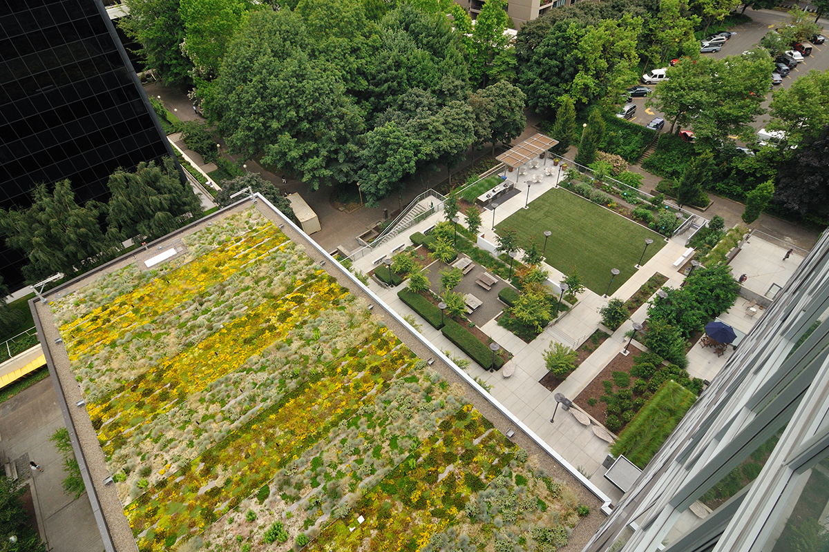 Apartment and condo landscaping with green roof by Dennis' 7 Dees