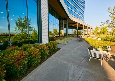 Commercial Patio and Edge Landscaping Plantings Project for Corporate Headquarters - Daimler - by Dennis' 7 Dees Landscaping