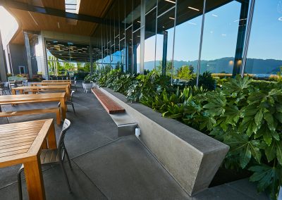 Commercial Patio Landscaping Plantings Project for Corporate Headquarters - Daimler - by Dennis' 7 Dees Landscaping