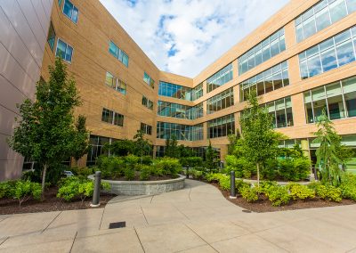Trees, shrubs, and planters by Dennis' 7 Dees commercial landscaping division