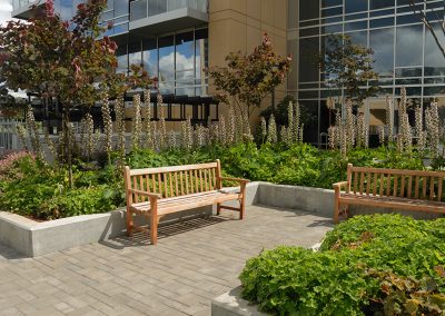 Condo and apartment landscaping in Portland by Dennis' 7 Dees