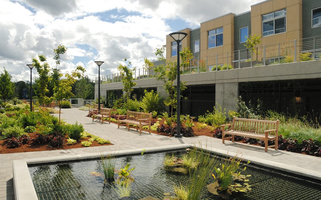 How to Determine a Commercial Landscaping Budget