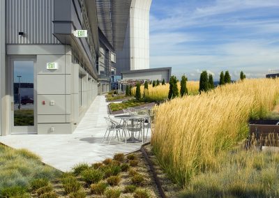 PDX Airport Landscaping on a Green Roof with Ornamental Grasses for Commercial Projects by Dennis' 7 Dees