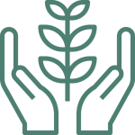 growth icon