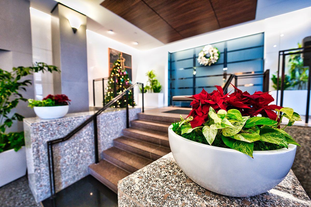 Commercial Holiday Decor