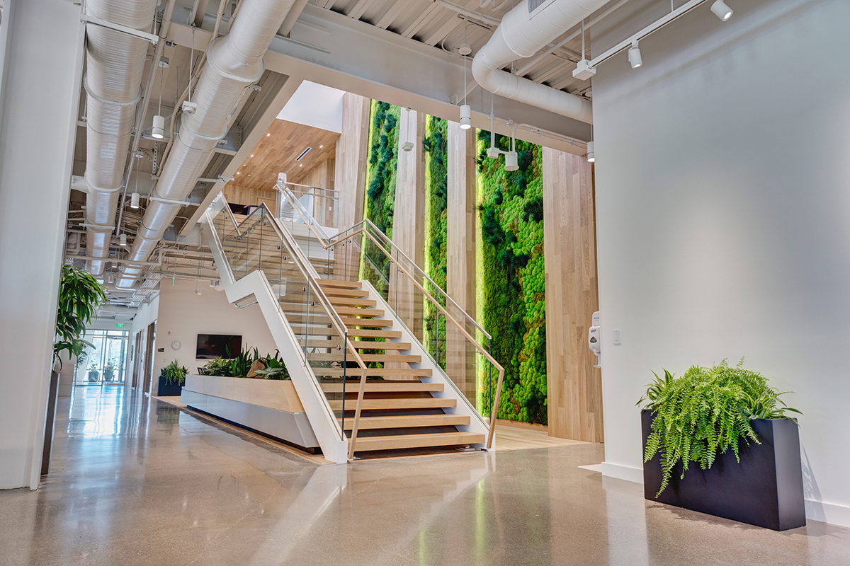 living wall at adidas in Portland, Oregon designed by Dennis' 7 Dees Urban Plantscapes