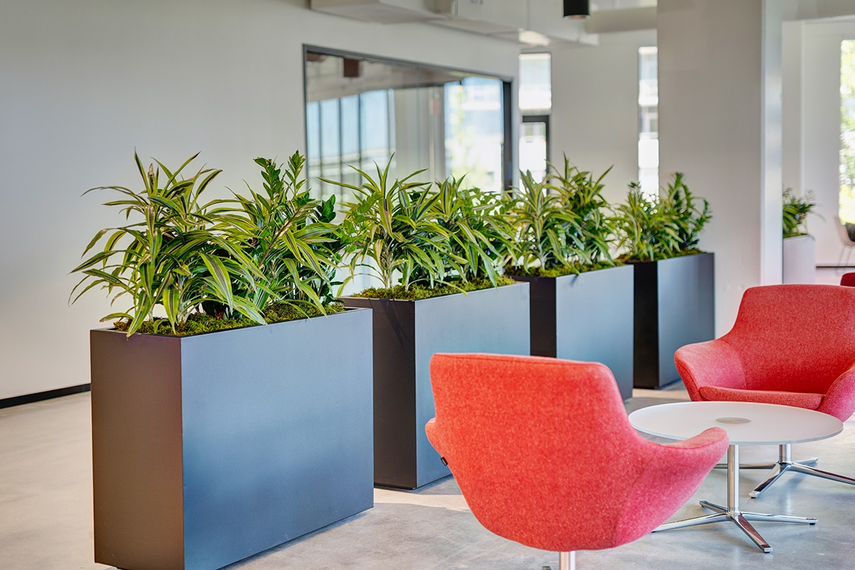 Office plants in containers designed by Dennis' 7 Dees Urban Plantscapes