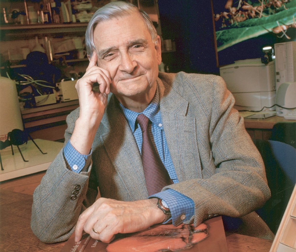Biologist Edward Osborne Wilson Photo of Biologist Edward Osborne Wilson by Jim Harrison