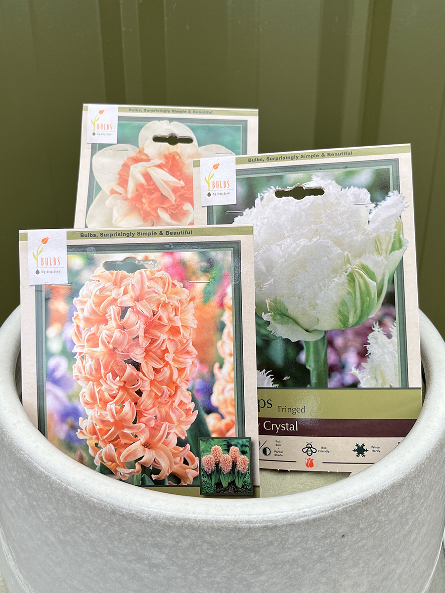 fall-bulb-collections-2023_1