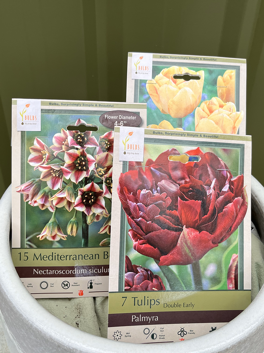 fall-bulb-collections-2023_2