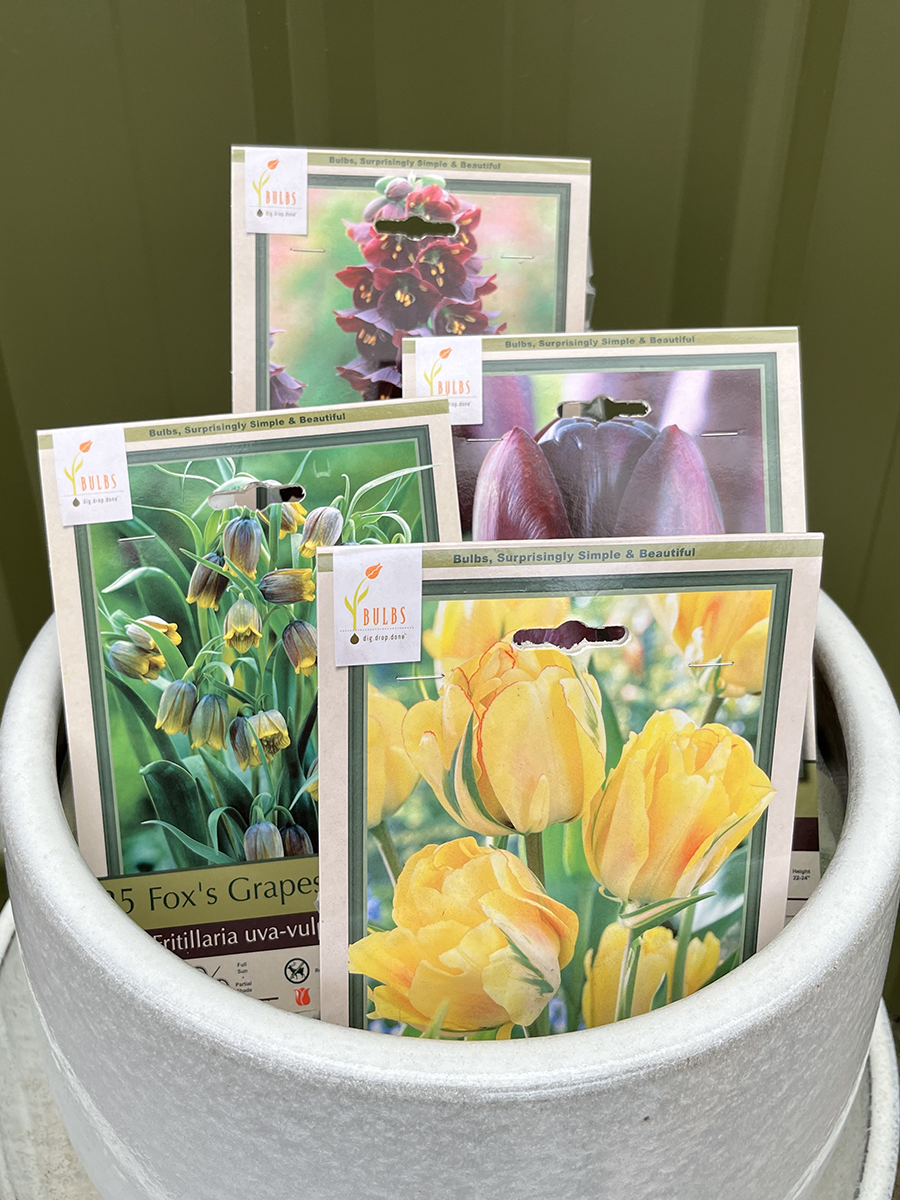 fall-bulb-collections-2023_3