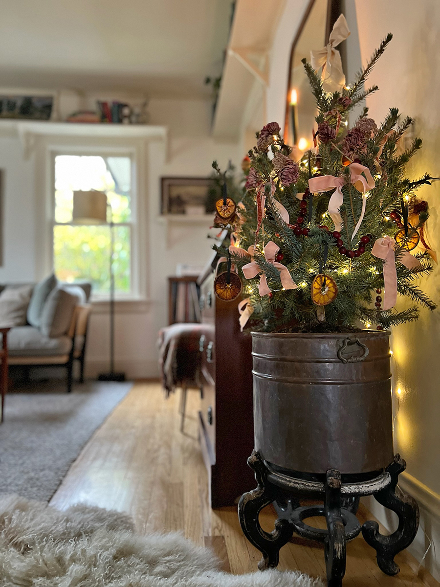 Decorated living Christmas tree in metal pot Decorated living Christmas tree holiday decor