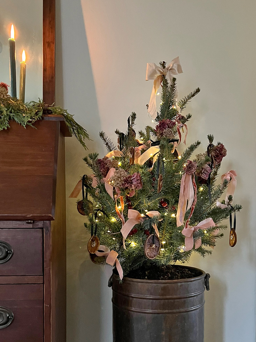 Closeup of living Christmas tree decorated with natural elements Closeup of living Christmas tree decorated with natural elements