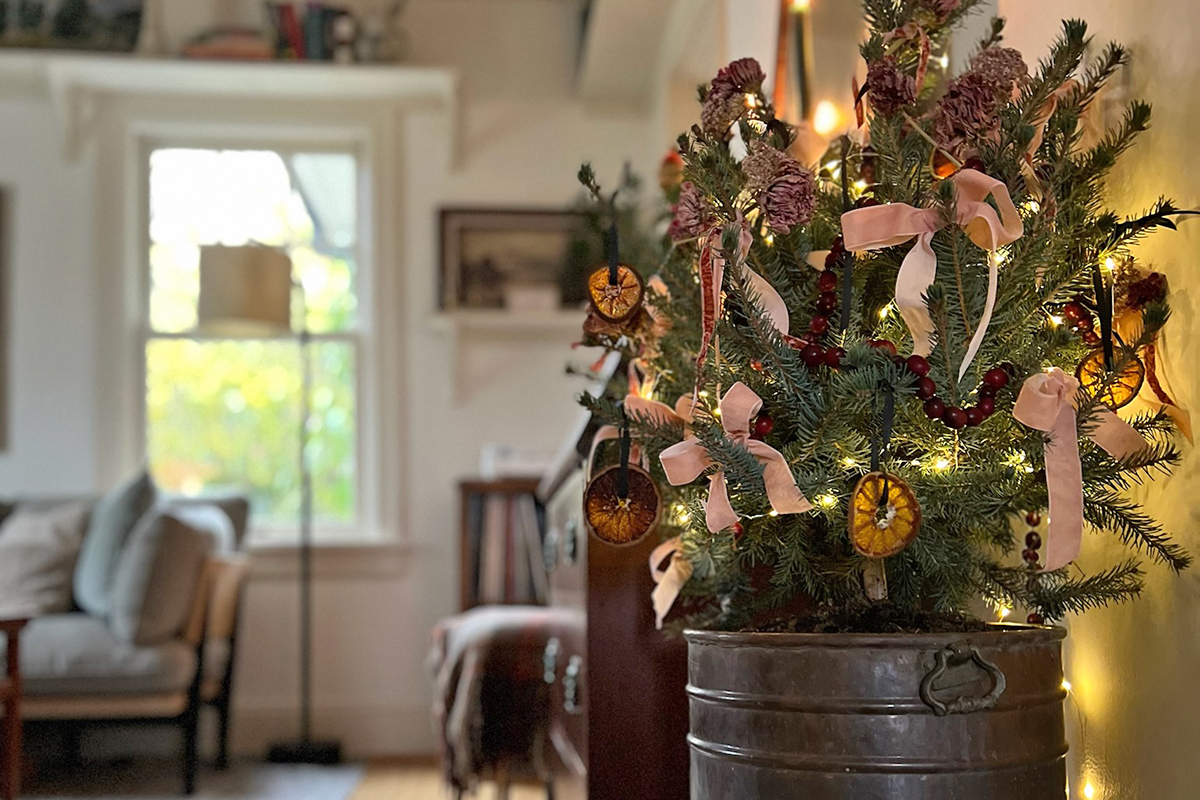 Tips for Decorating With a Living Christmas Tree