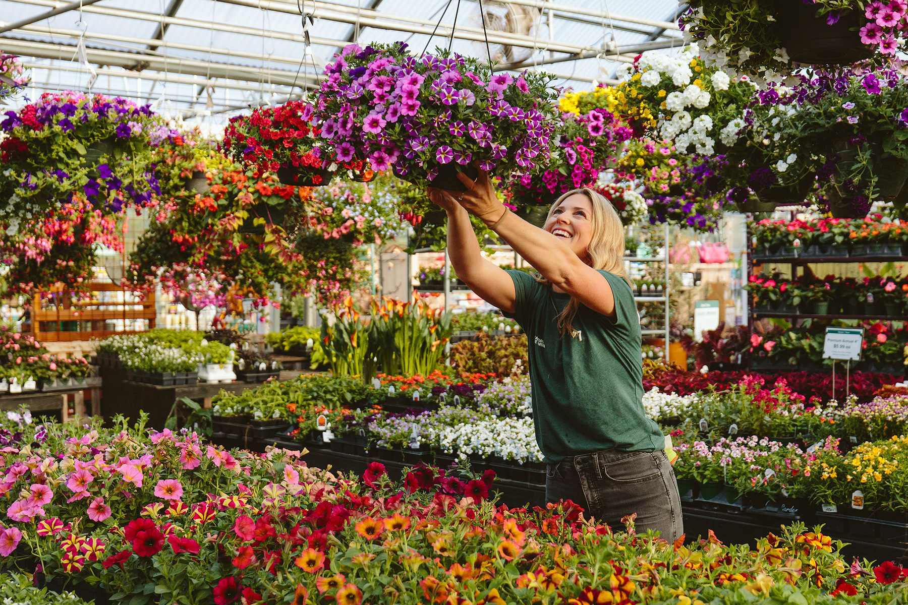 hanging basket selection