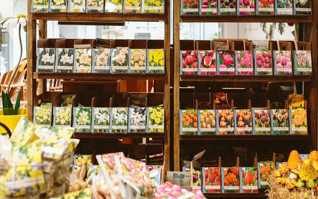 Spring-Flowering Bulbs displayed at Dennis' 7 Dees Garden Center in Lake Oswego
