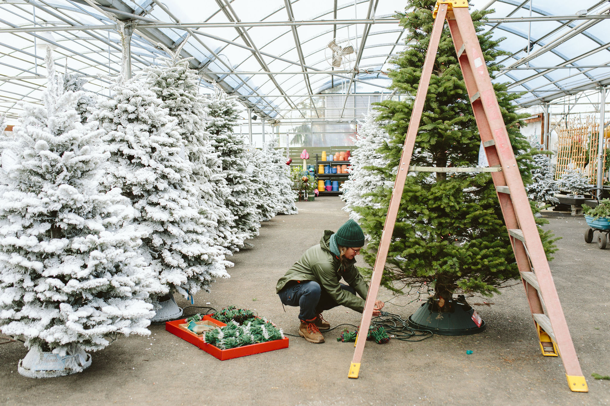 Christmas Tree Lighting Services