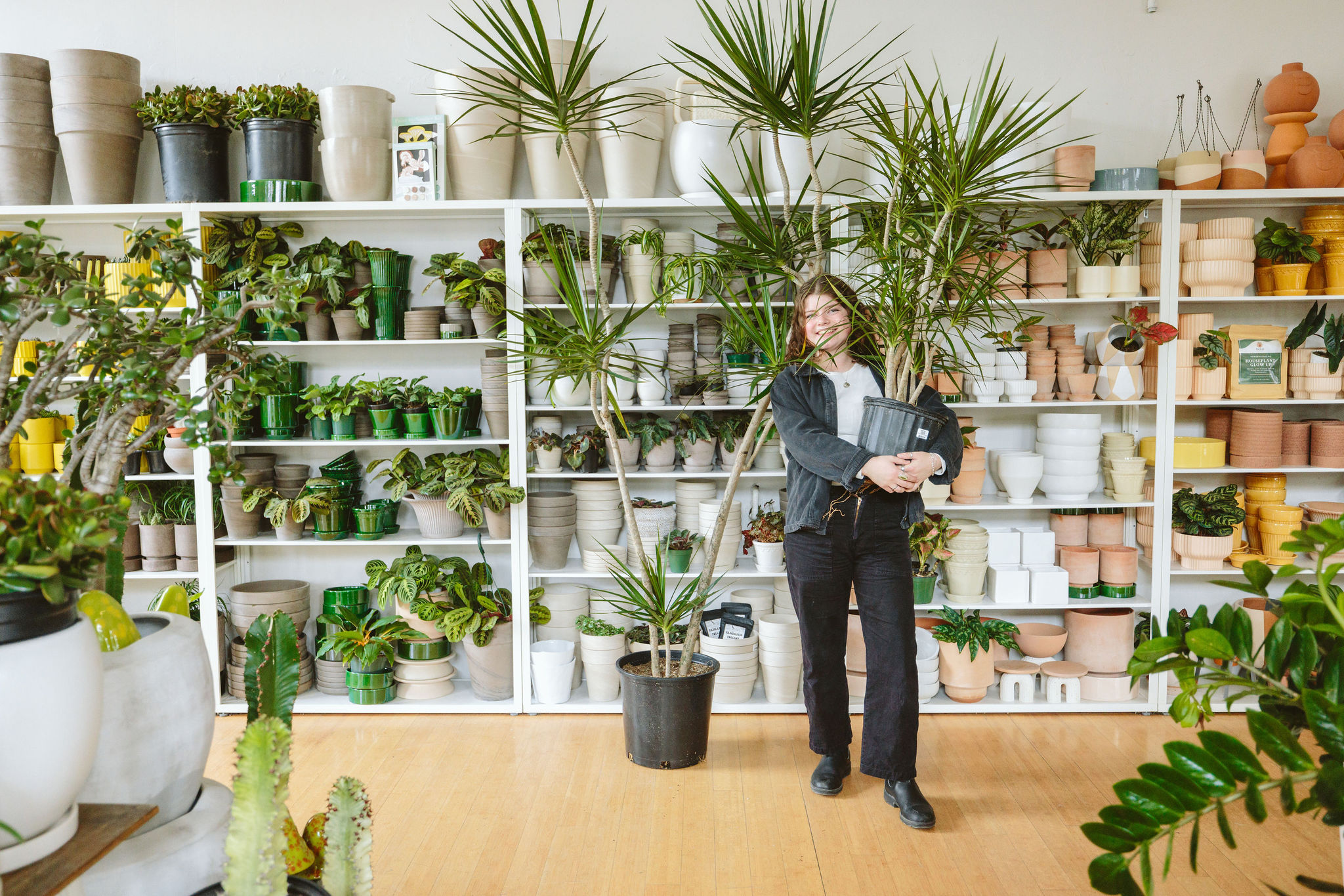 plant display at garden center with trees and shrubs