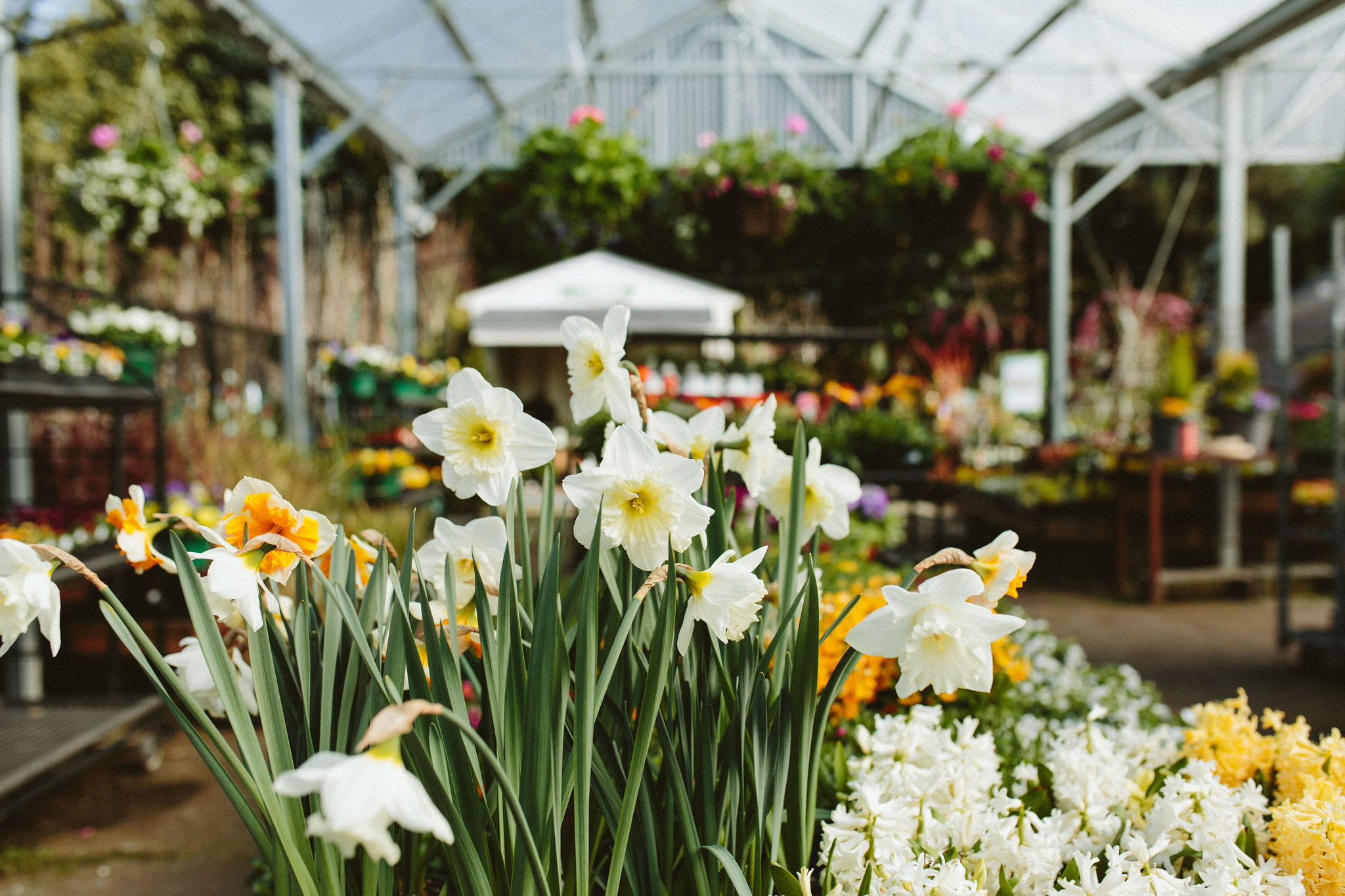 March in the Garden