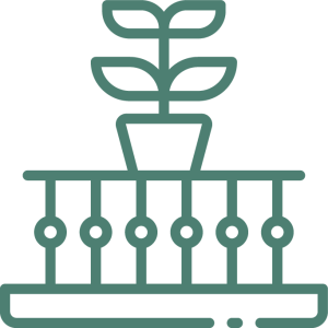 Exterior Plants