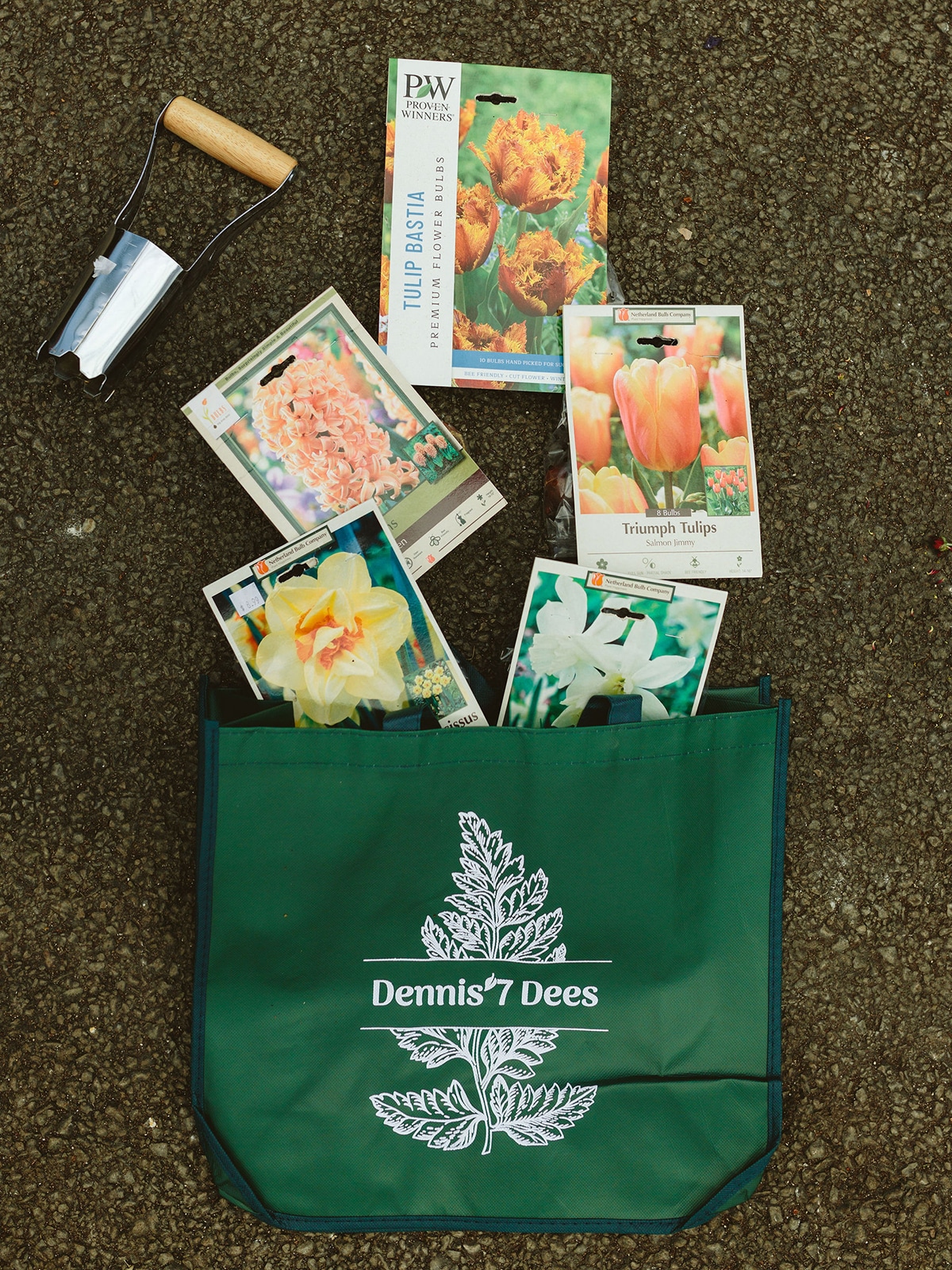 Dennis7Dees-Fall24_KaitlinGreen-141_cropped Spring-Blooming Bulb Combo to plant in Fall from Dennis' 7 Dees