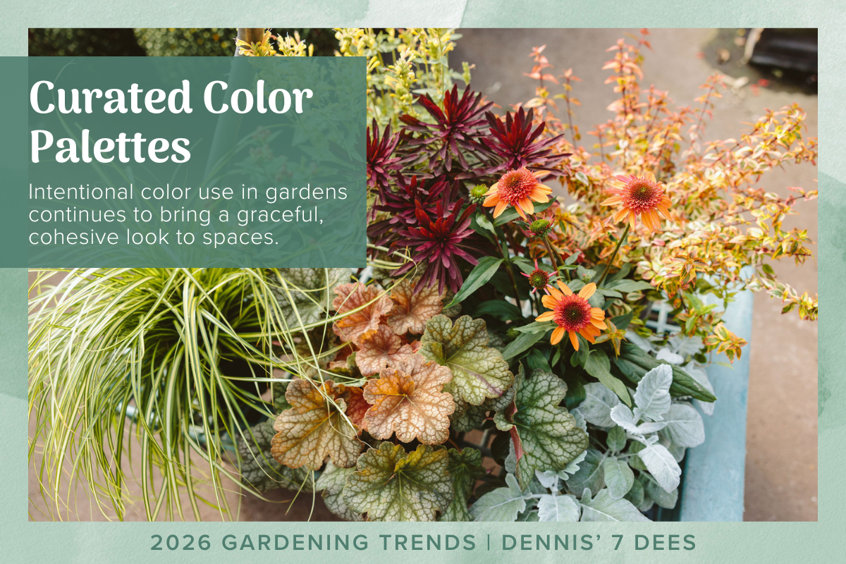2026 Trends - Curated Color Palettes