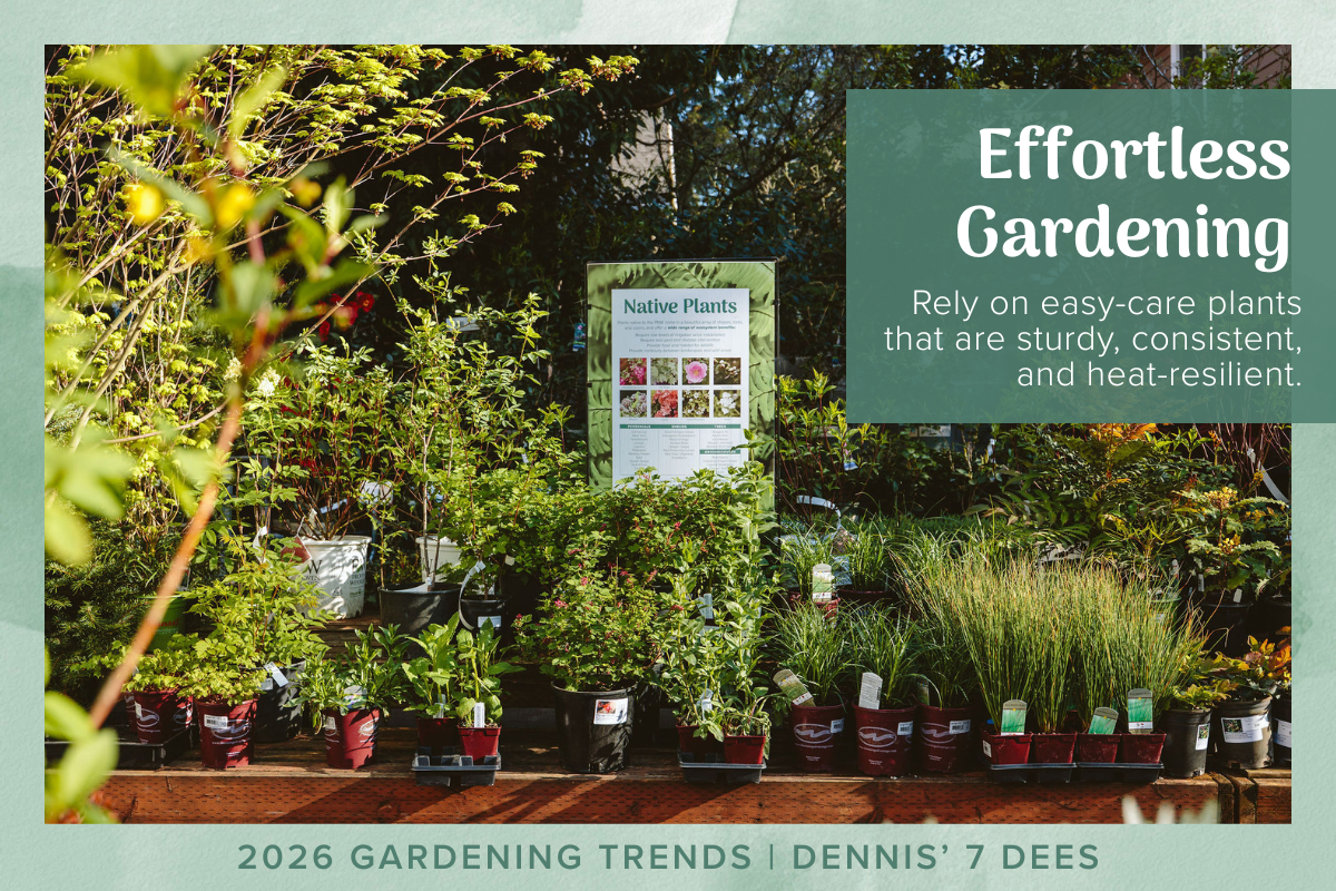 2026 Trends - Effortless Gardening pacific northwest native plants