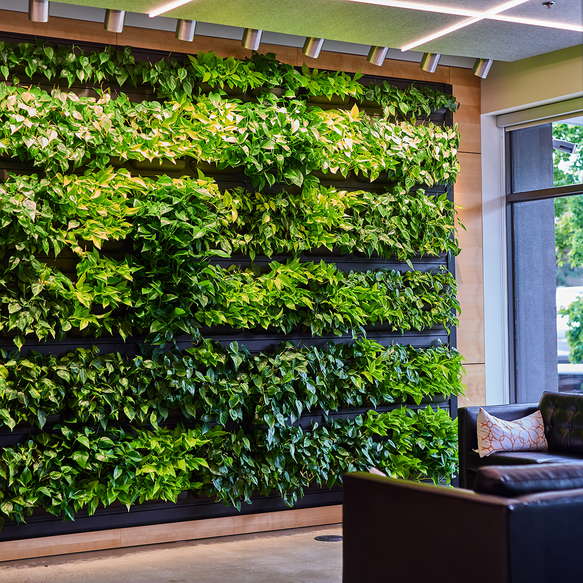 D7D-Urban-Plantscapes-OEG-Living-Wall_homepage