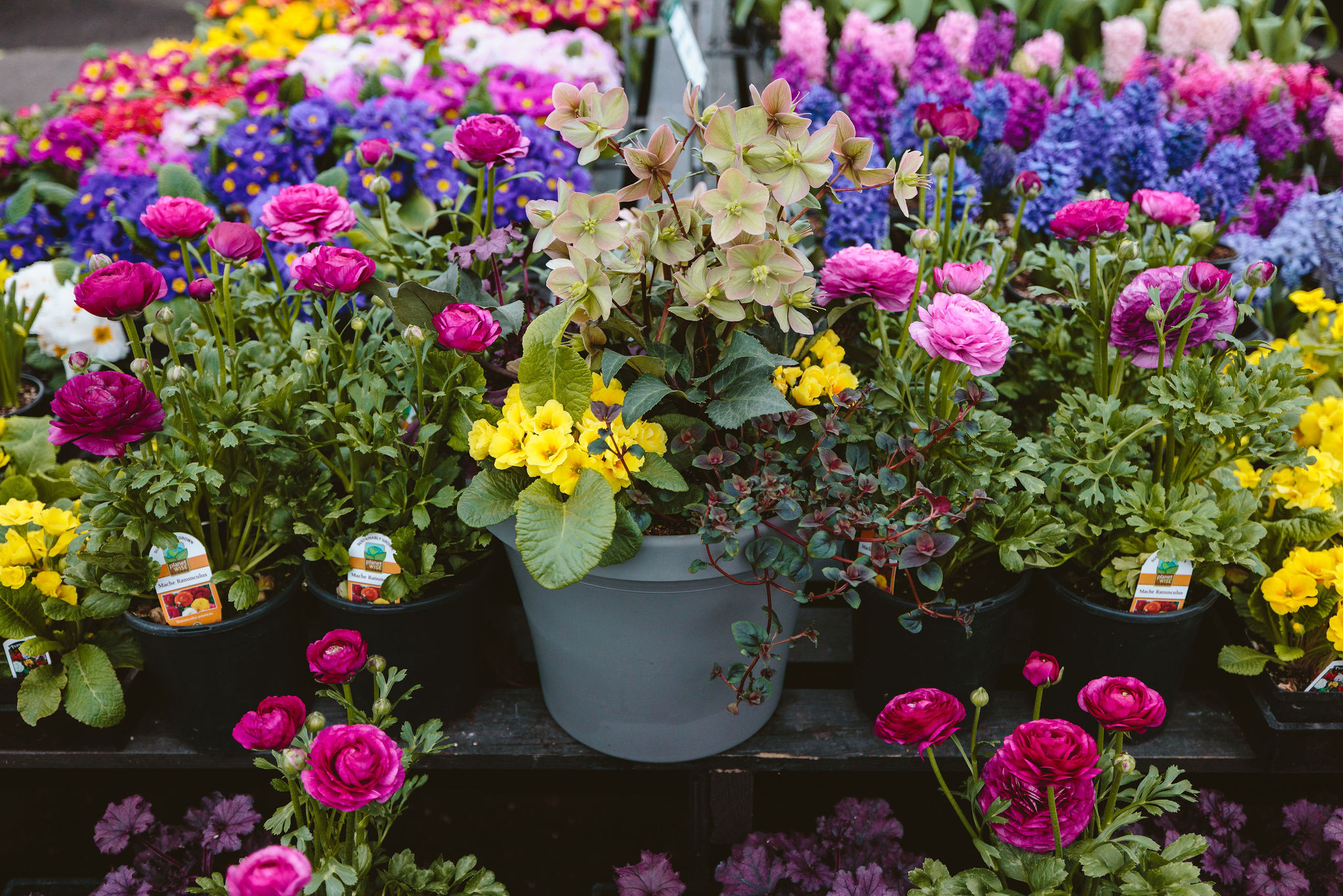 Spring Container Garden Design Ideas for the Pacific Northwest